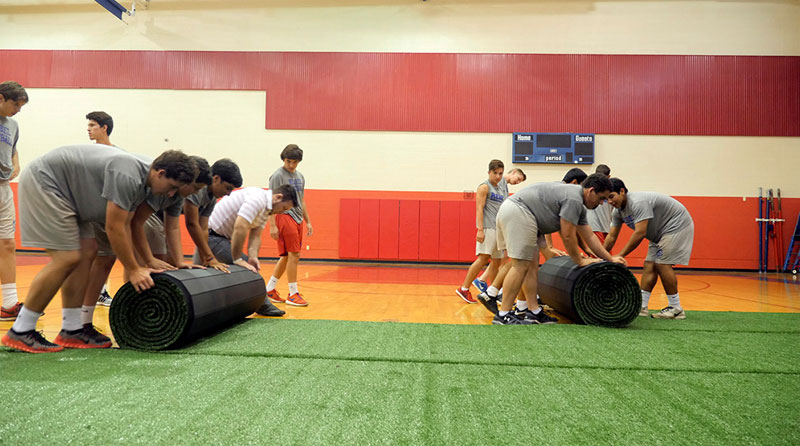 rollable indoor grass turf